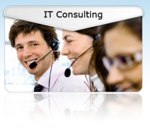 Network and IT Consulting